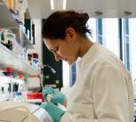 Researcher works in lab