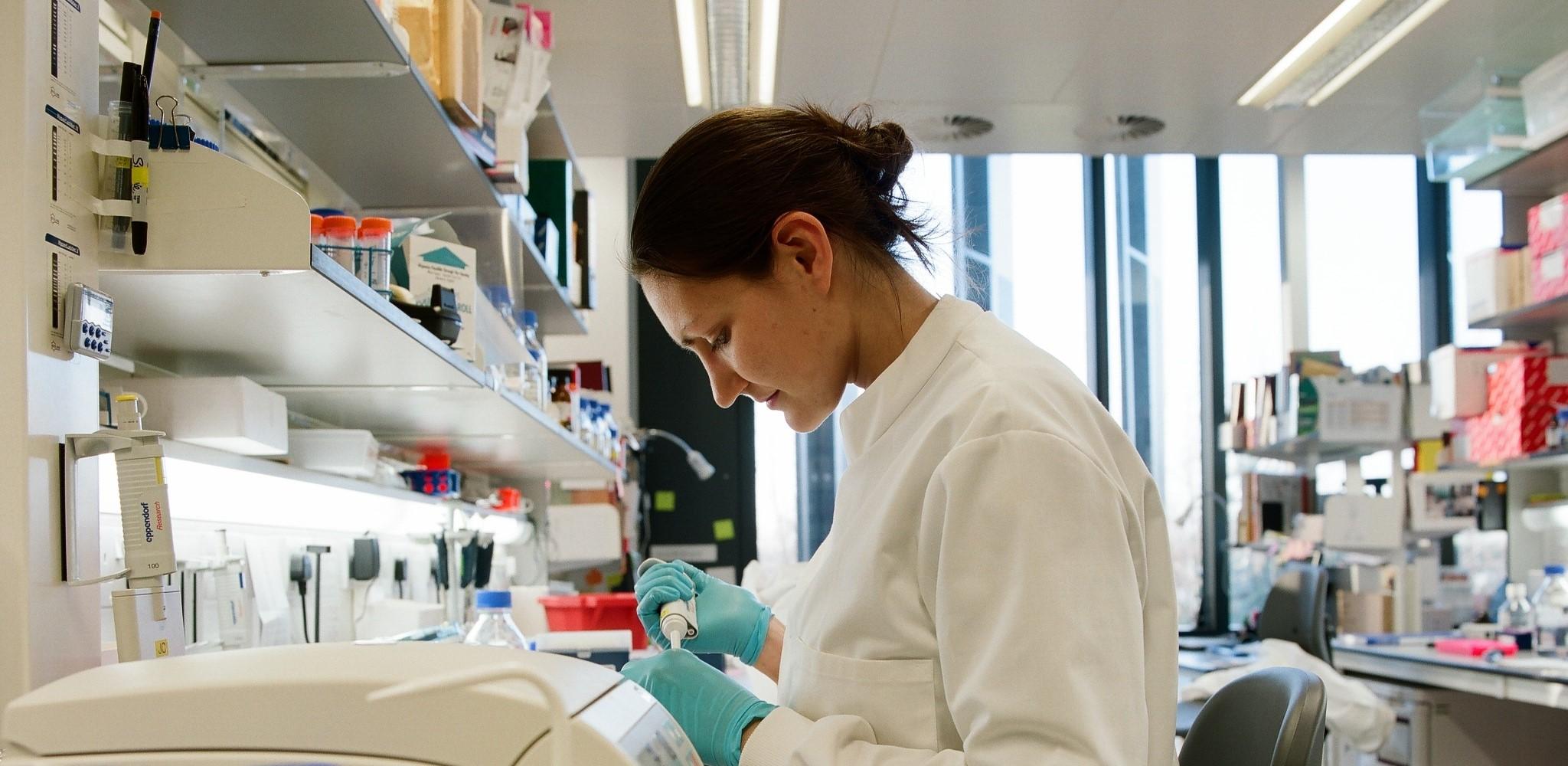 Researcher works in lab